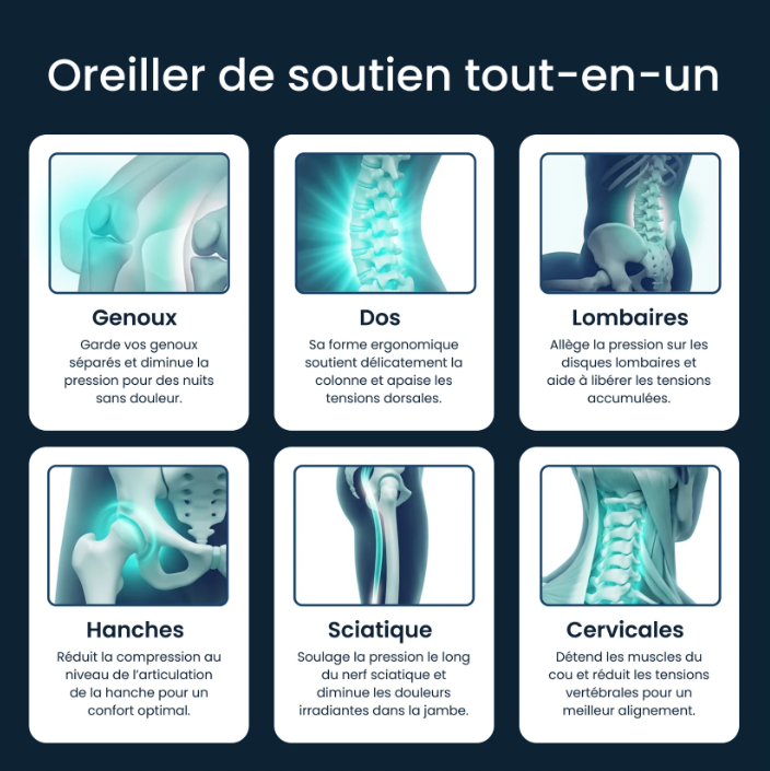 Coussin Lombaire Ergonomique Sommnys